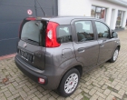 Miniatuur